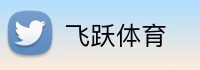 飞跃体育 logo